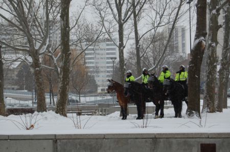 The ACTION team policing a rally in Hamilton.