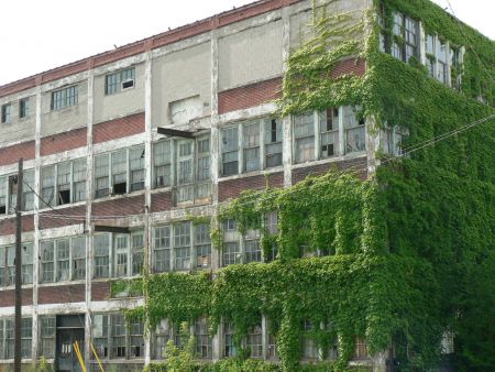 Vine-covered building in Windsor