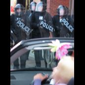 Gabriel Sinduda: g20.toronto. Terrorist Threats: Pink bunny...