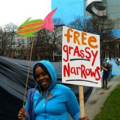 Free Grassy Narrows