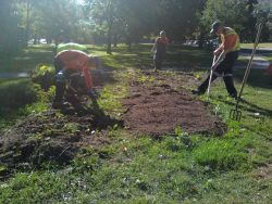 City of Toronto Workers Destroy Free Community Food Garden Amid Growing Food Crisis 