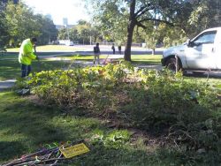 City of Toronto Workers Destroy Free Community Food Garden Amid Growing Food Crisis 