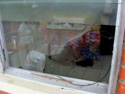 Nov. 28, 2009 - A broken window outside one of the classrooms of the Red Comal campesino school.  The police claimed that they were investigating the school on suspicion that they were amassing weapons.  The director of the school explained, "we teach people why they are poor - for that, we are a threat."