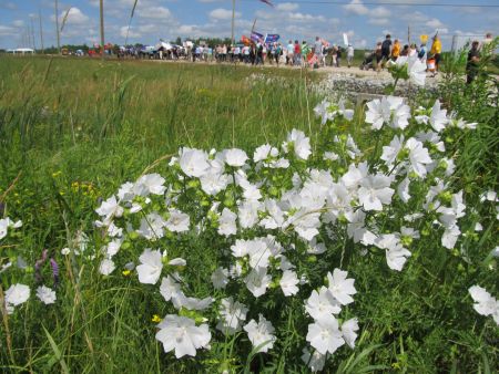 Dundalk EcoWalk against Lystek Reportback