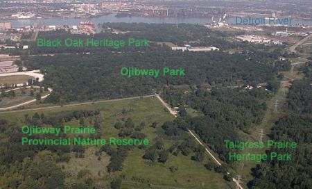 Aerial photo of the Ojibway Prairie Complex, courtesy ojiway.ca