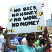  Thousands March for Jobs, Justice and Climate in Toronto