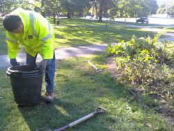 City of Toronto Workers Destroy Free Community Food Garden Amid Growing Food Crisis 